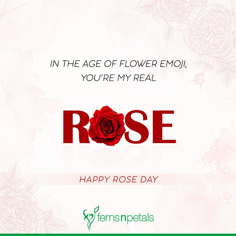 rose day wishes.jpg